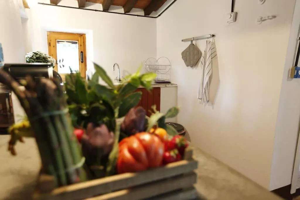 別荘 Campigallino, Casa Immersa Nella Natura. カザーレ・マリッティモ